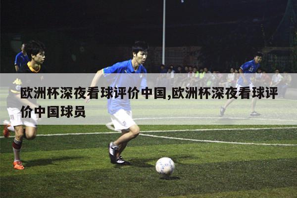 欧洲杯深夜看球评价中国,欧洲杯深夜看球评价中国球员